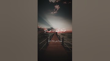 تلاوة خاشعة بصوت الشيخ ياسر الدوسري ارح سمعك #ياسر_الدوسري