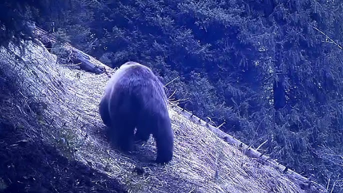 Айшвария Рай секс