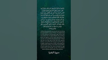102 - 2 سورة البقرة: التلاوة المعبرة مع الترجمة الإنجليزية