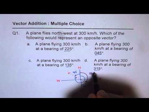 Q1 Plane flies