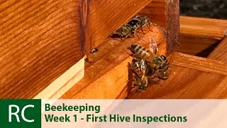 FLOWHIVE BEEKEEPING WEEK 1 - FIRST HIVE INSPECTIONS