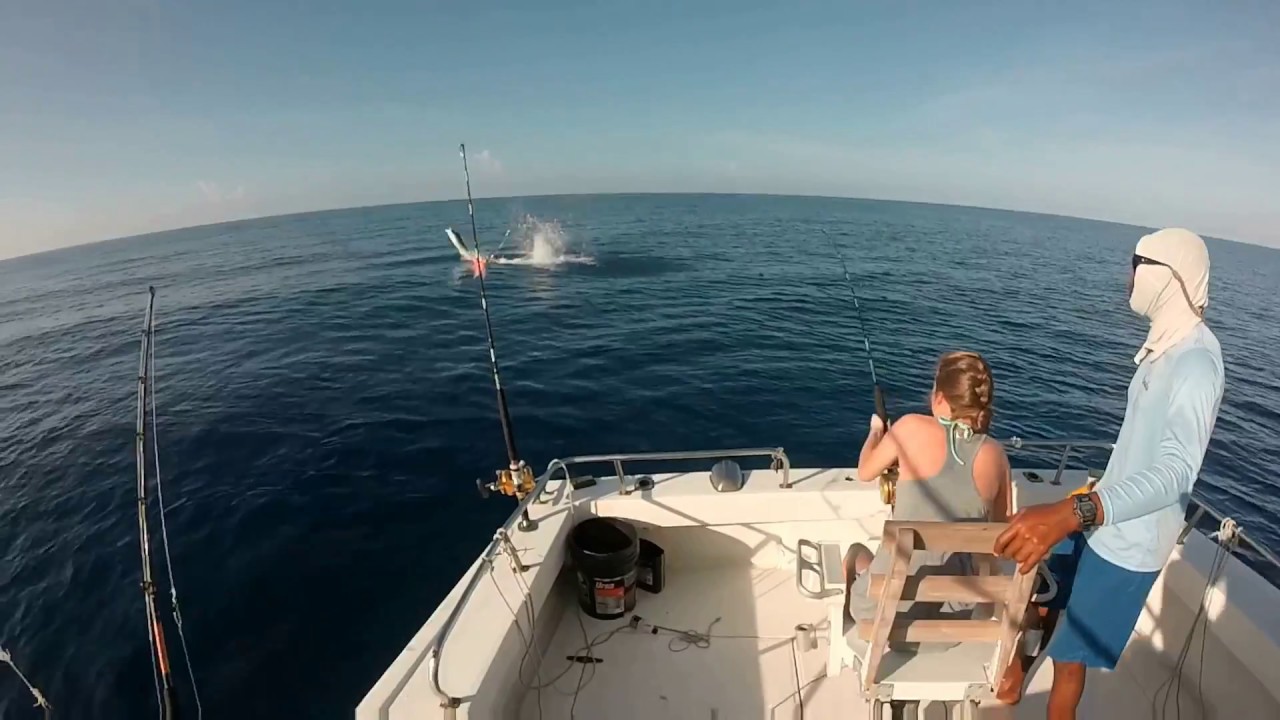 Deep Sea Fishing Negril, Jamaica YouTube