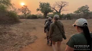 Rothschild Safaris | Farewell Zambia