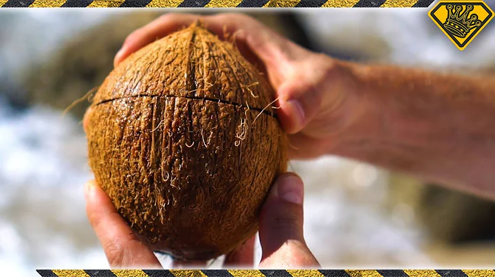 How To Open Coconuts Without Any Tools! TKOR's Easy Way Of Cracking Coconuts!