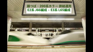 E2系 J66編成+E3系 L65編成 「銀つば+200系復刻塗装」やまびこ128号