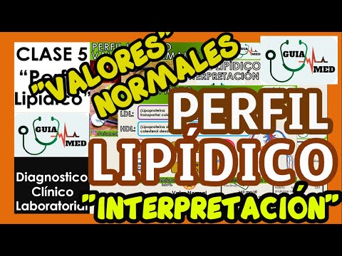 PERFIL LIPÍDICO VALORES NORMALES | GuiaMed
