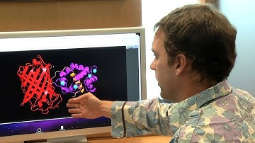 CaMPARI: Red Fluorescent Proteins