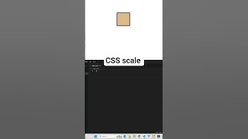 CSS Transform Scale Explained