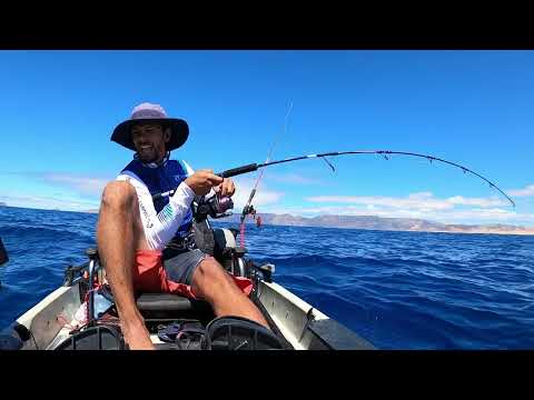 12kg Amberjack, Infinia Plus XE
