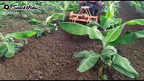 Shaktiman Reverse - Forward Rotavator.