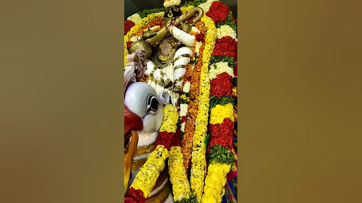 Hamsa vahana seva in brammosthavams at SVNS temple...