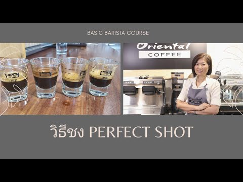 ความสำคัญของ espresso shot วิธีชงให้ได้ perfect shot ที่ดี Basic Barista Course #เรียนชงกาแฟฟรี