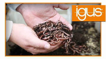 Fully Automated Worm Farm - Industrial Application