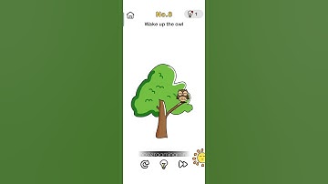 Brain Out | No 8 | Master Gaming Mind | MGM | Wake up the owl #games #mainanpuzzle #gaming #gameplay