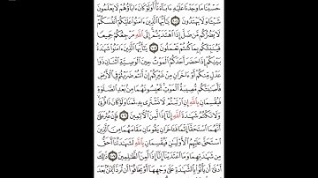 سورة المائدة آية ١٠١-١٠٨#اكسبلور#القران #القارى attaullahfarooqi55عطاءالله فاروقي من الدوحة قطر