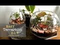 Easy DIY Glass Terrariums