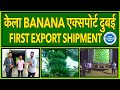         banana export success story pune to dubai with costing