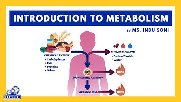 Introduction to Metabolism by Ms. Indu Soni | RPIIT Academics
