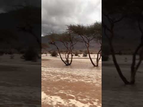 سيل وادي طليح ديار الحويطات