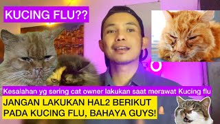 KESALAHAN DALAM MERAWAT KUCING FLU || Kucing flu? JANGAN LAKUKAN HAL2 BERIKUT, BAHAYA