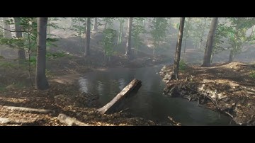 Unnamed Project Environment Checkup (Unity HDRP VR)