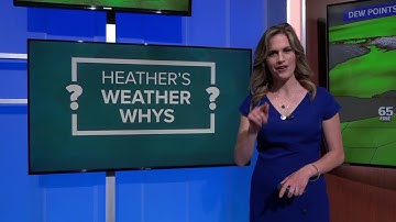 Heather