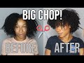 I CUT IT! 😆 Watch Me Prep for my Curly Haircut and Peep the RESULTS 😍