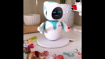 Robô Interativo [Nossa Próxima Compra]