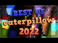 best of caterpillow 2022