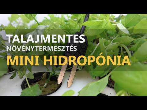 Videó: DIY Hidroponikus mélyvízi kultúra – Ismerje meg a mélyvízi kultúra tápanyagait