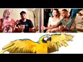 BirdTricks Helps Mia The Macaw || Parrot Training & Free Flight