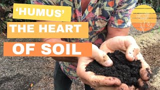 Unlocking the Power of Humus: The Heart of any Good Soil!