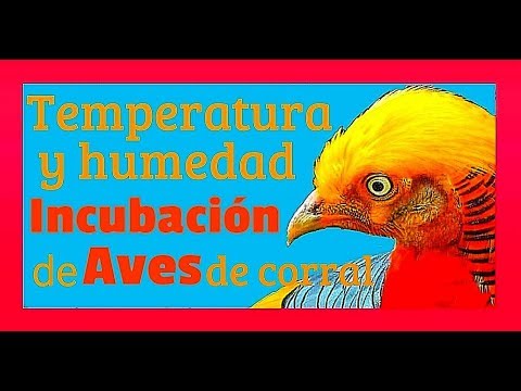 Incubación de huevos