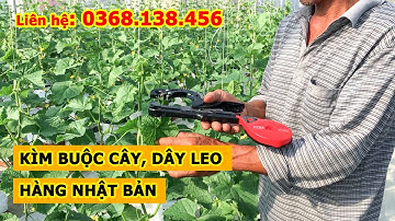 Kìm buộc chanh leo, cà chua, dưa leo, nho..vv.. Hàng Nhật Bản