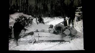 LOGGING IN UP MICHIGAN 1920S HENRY FORD MILL