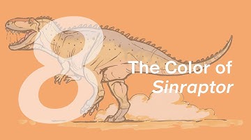Xinchuan the Sinraptor 8: The Color | Learn to Draw Dinosaurs with ZHAO Chuang