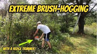 Brush-hogging With a Hedge Trimmer! | Oddly SATISIFYING