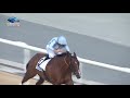 Dubai World Cup 2019: Race 2 - Godolphin Mile