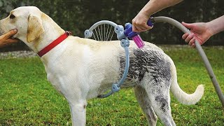 5 Amazing Pet Gadgets You Must Have 2020 | Gadgets under $10, $15, $20