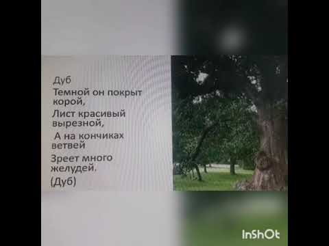 Путешествие по экологической тропе