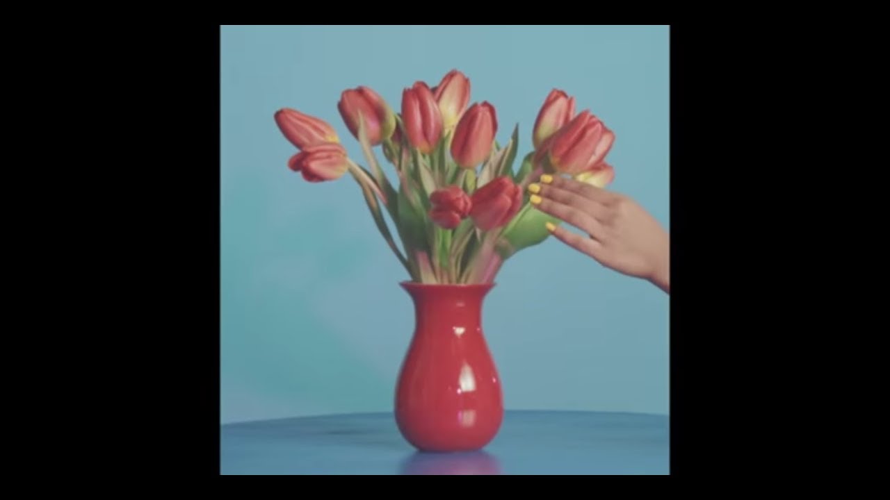 {artistName}의 {trackName} 뮤직 비디오 보기