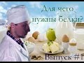 Для чего нужны белки? Выпуск #1