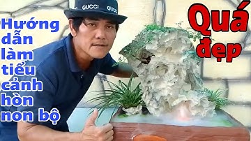Hướng dẫn làm tiểu cảnh hòn non bộ sân vườn