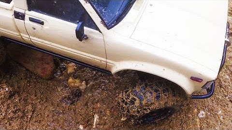 RC axial action / big scx10 dingo and hilux fun - scale