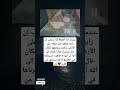 عندما كنا أطفال ا كنا نرتعب إن رأينا قطعة خبز ملقاة على الأرض نركض ونحملها لمكان عندما كنا أطفال ا كنا نرتعب إن رأينا قطعة خبز ملقاة على الأرض نركض ونحملها لمكان