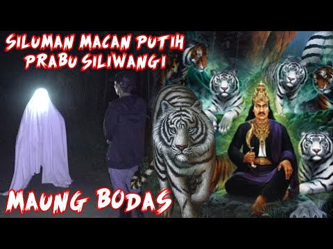 MACAN PUTIH PRABU SILIWANGI TEMUI SAEFI TAKJUB AKAN KEBAIKAN DAN KEIKHLASANNYA