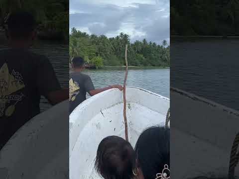 Poanioau Island Getaway 🌴 #islandvibes #fishing #picnicspot #pohnpei