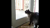 Philip's Visual Tutorials