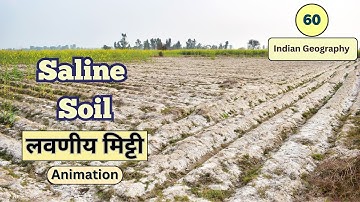 Saline Soil Animation | Indian Geography Course with 3D animation | by Ravi Yadav (MNNIT Alumni)