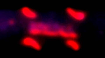 SORTEIO INTRO - RESULTADO QUANDO PEGAR 30 LIKES